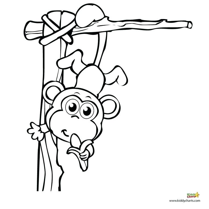 736x736 Monkey Coloring Pages A For Your Best Images On Cartoon Cowboys