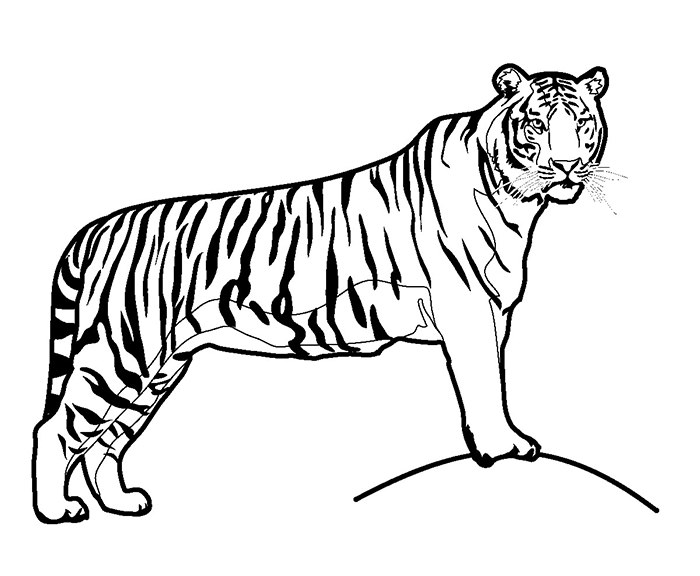 700x576 Animal Colouring Pages Free Download Amp Print! Free Amp Premium