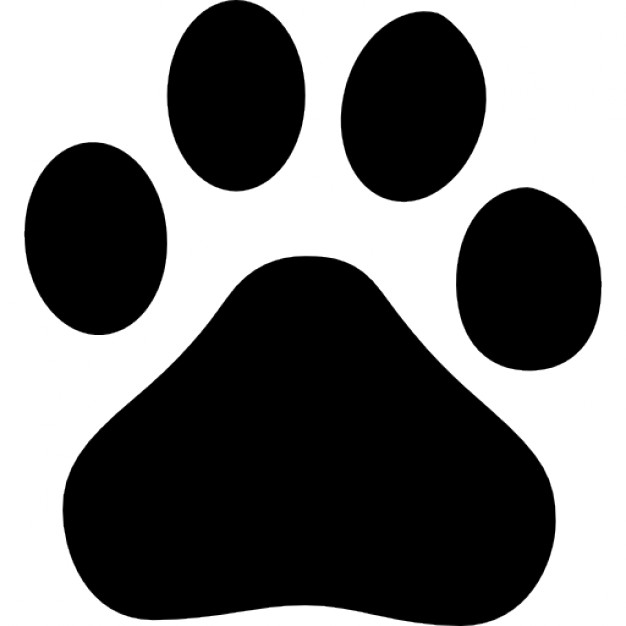 626x626 Paw Vectors, Photos And Psd Files Free Download