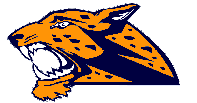 650x339 Jaguars Navy Blue Yellow Free Images