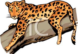 300x209 Top 63 Jaguar Clip Art