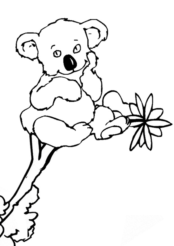600x850 Free Online Koala Colouring Page