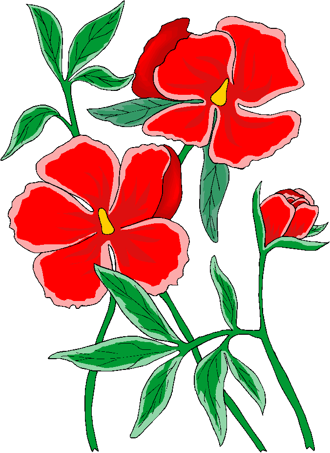 676x927 Red Flower Clip Art