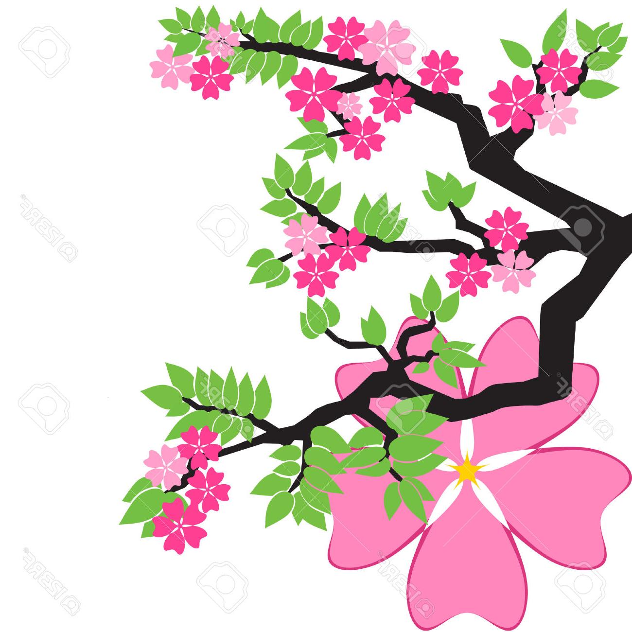 1300x1300 Top Cherry Blossom Tree Japanese File Free