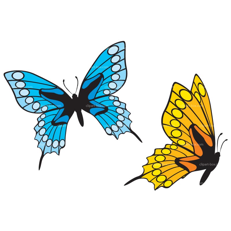800x800 Japanese Butterfly Clip Art Butterfly Clipart