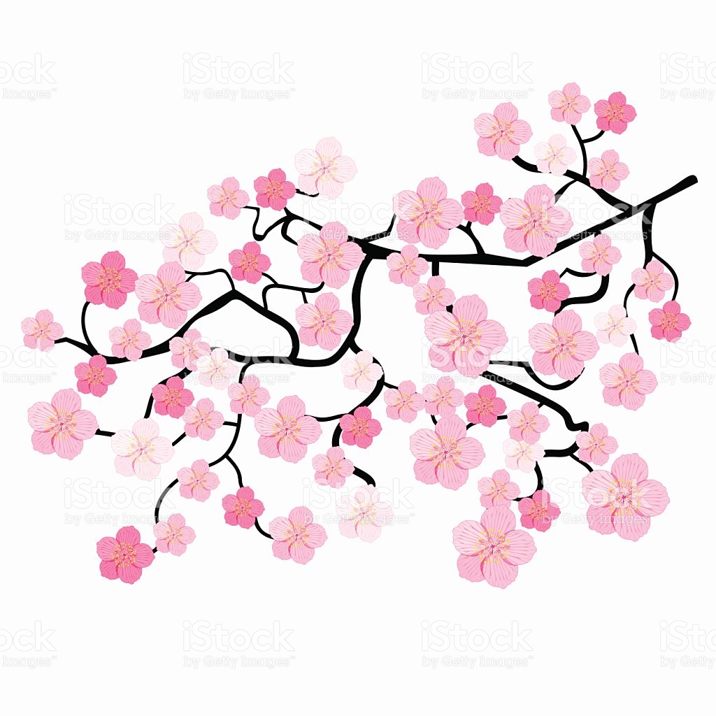 1024x1024 Ume Blossom Clipart Japanese Drawing