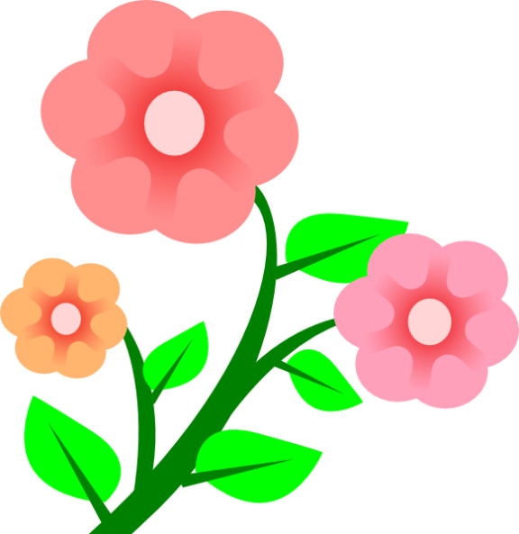 576x593 Jasmine Flower Clipart Clipart Panda