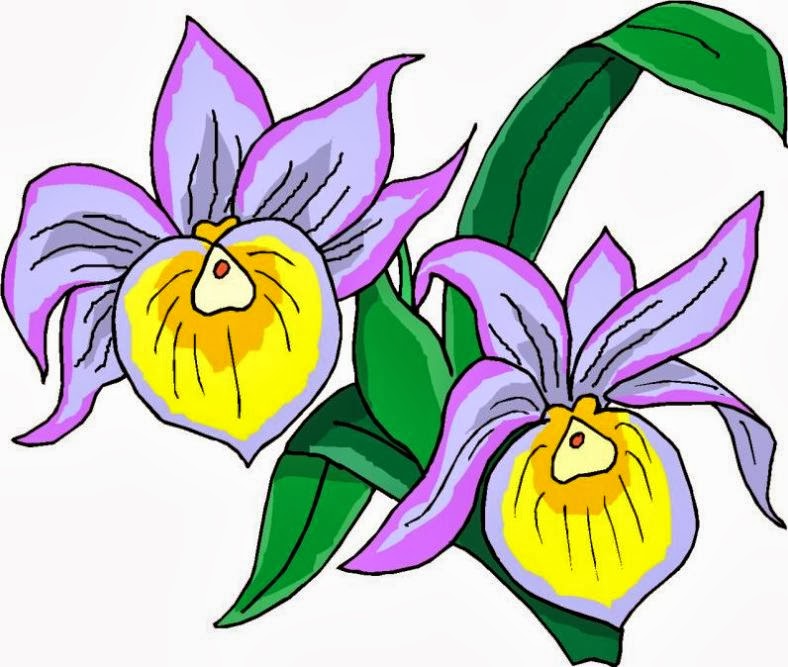 788x667 Purple Flower Clipart May Flower