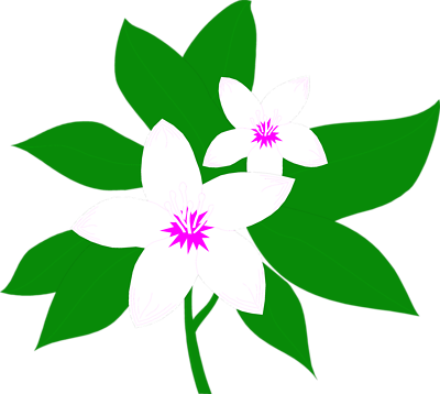 400x358 Top 94 Jasmine Clip Art