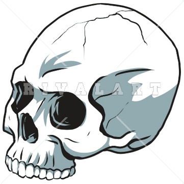 361x361 Skull Without Jaw Clip Art