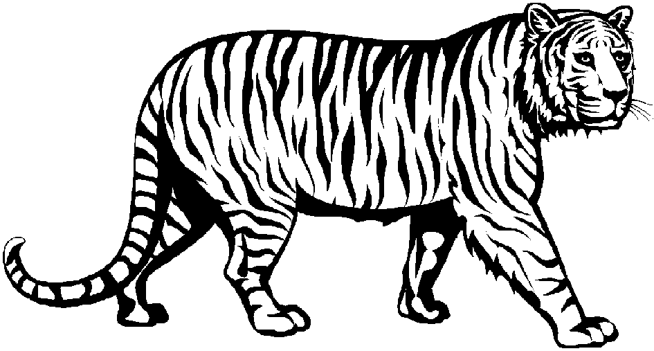 945x507 Black Amp White Clipart Tiger
