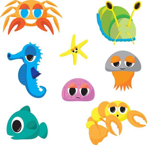 612x604 Jellyfish Seahorse Clipart, Explore Pictures