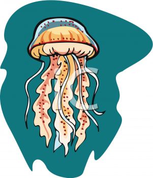 301x350 Best Jellyfish Clipart