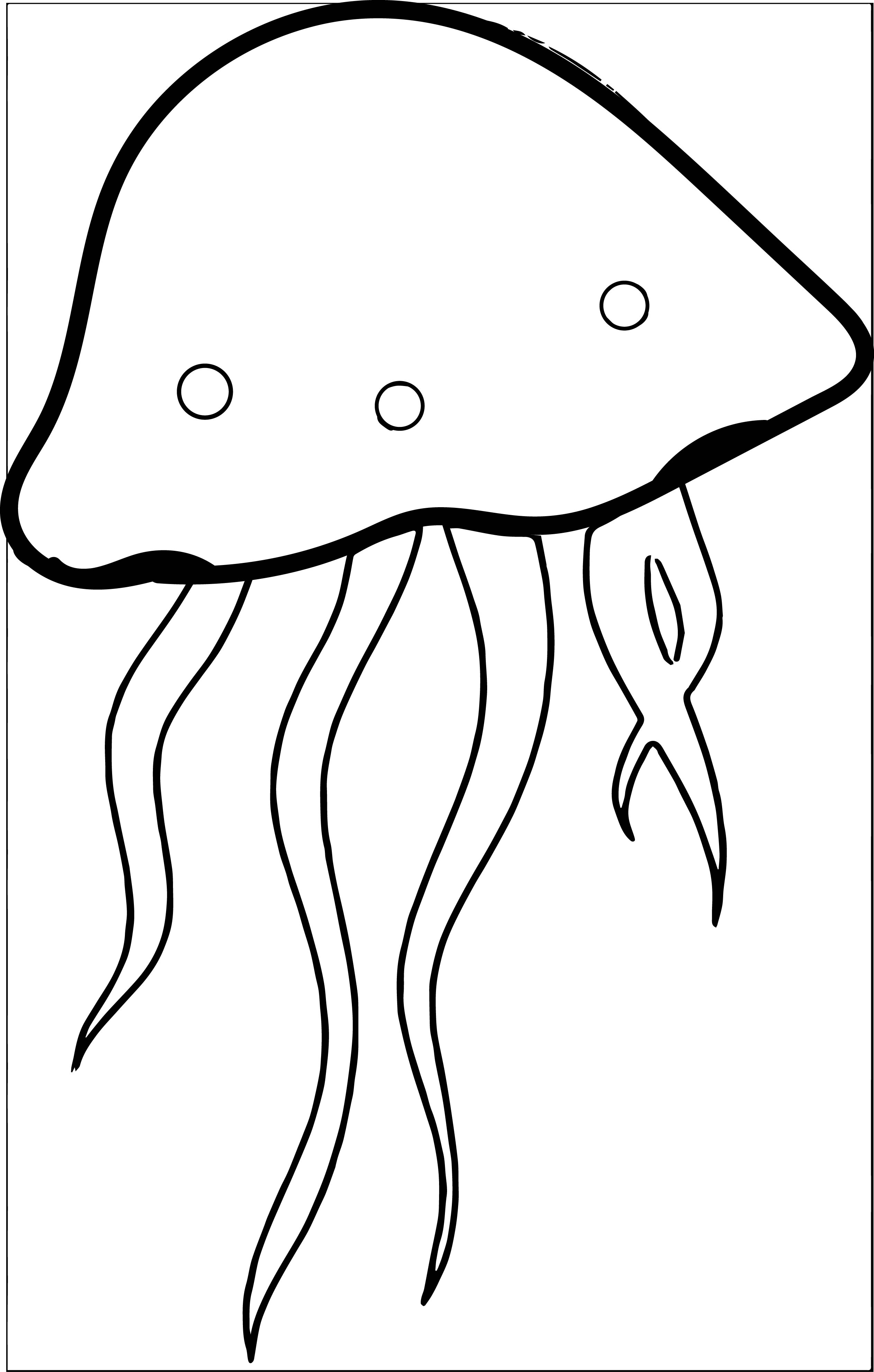2526x3963 Jellyfish Clipart