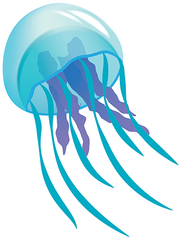 355x470 Jellyfish Clip Art