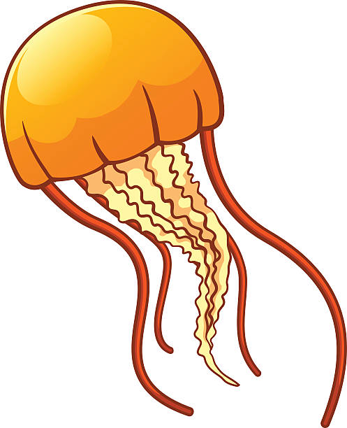 497x612 Jellyfish Clipart Orange