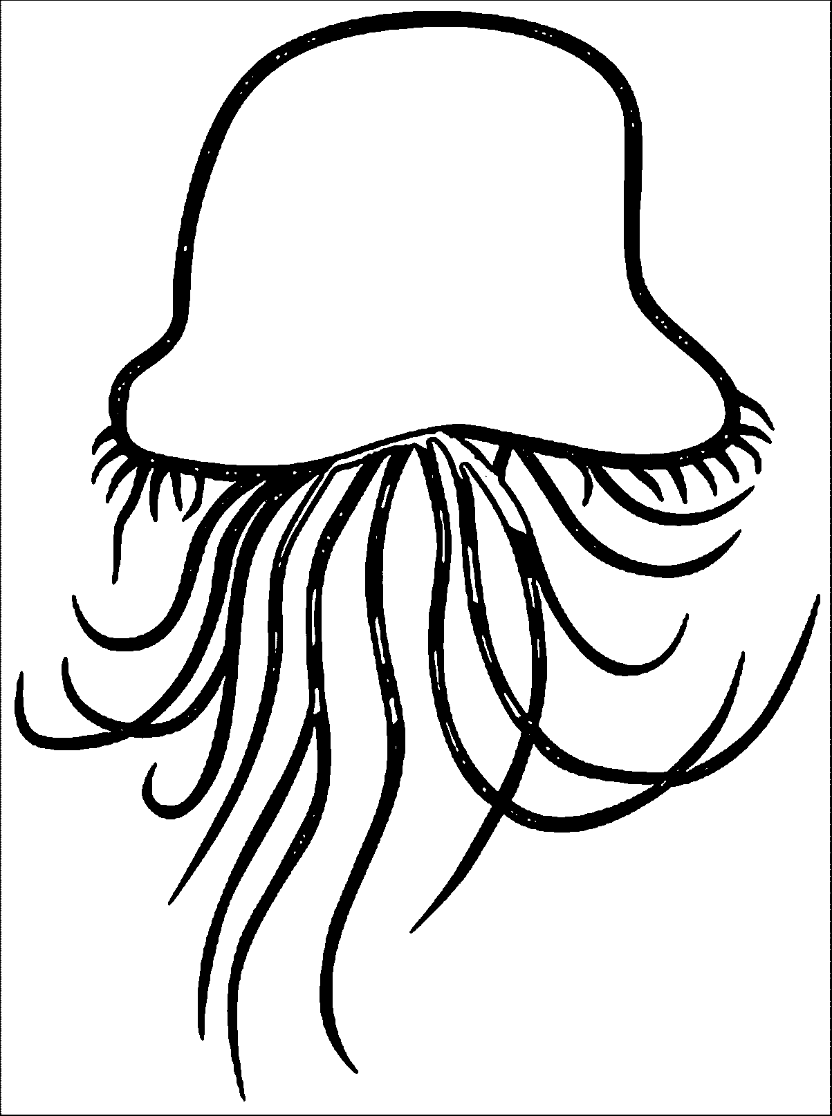 1203x1614 Jellyfish Clip Art 4 2