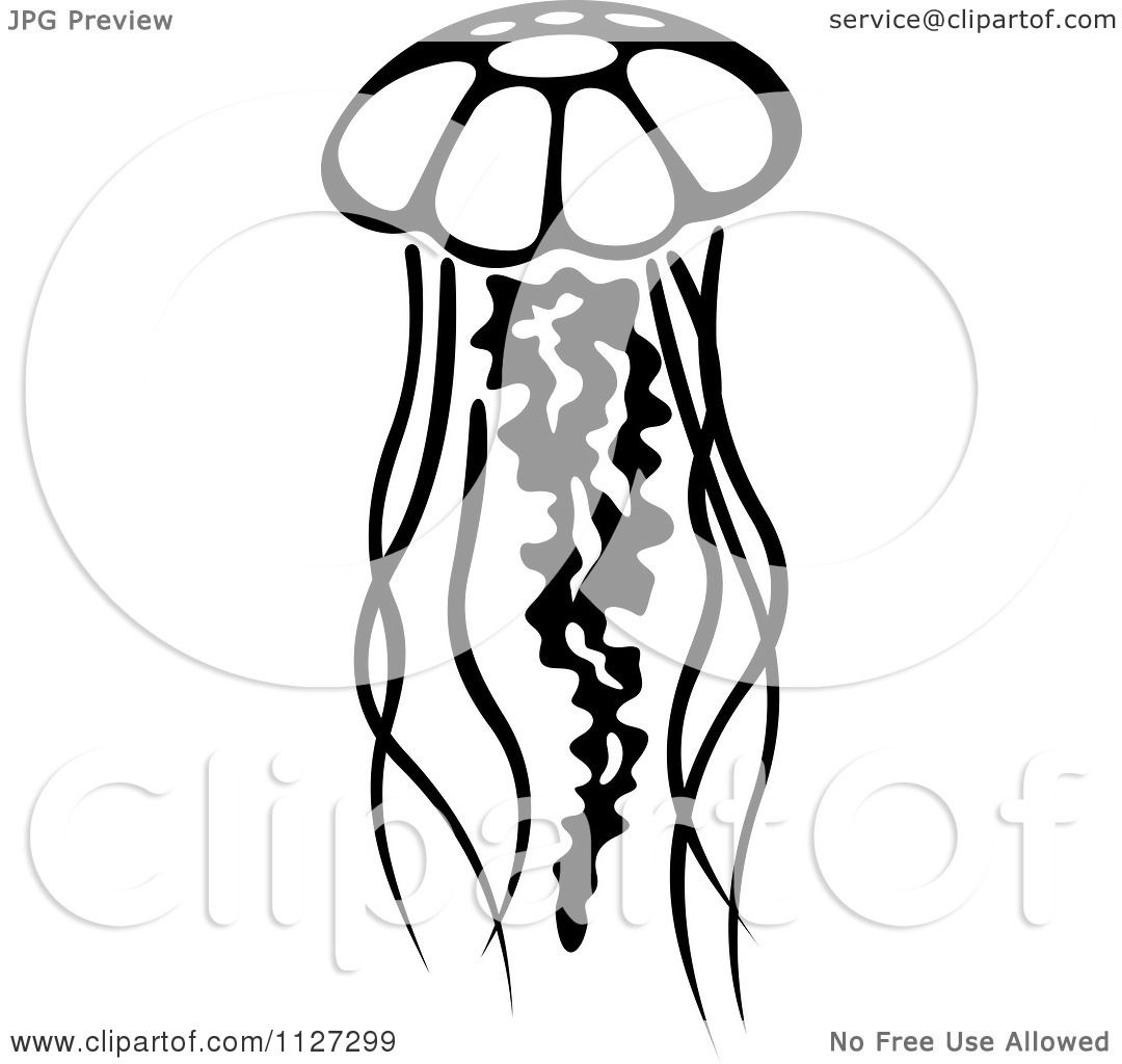 1080x1024 Royalty Free (Rf) Jellyfish Clipart, Illustrations, Vector Graphics