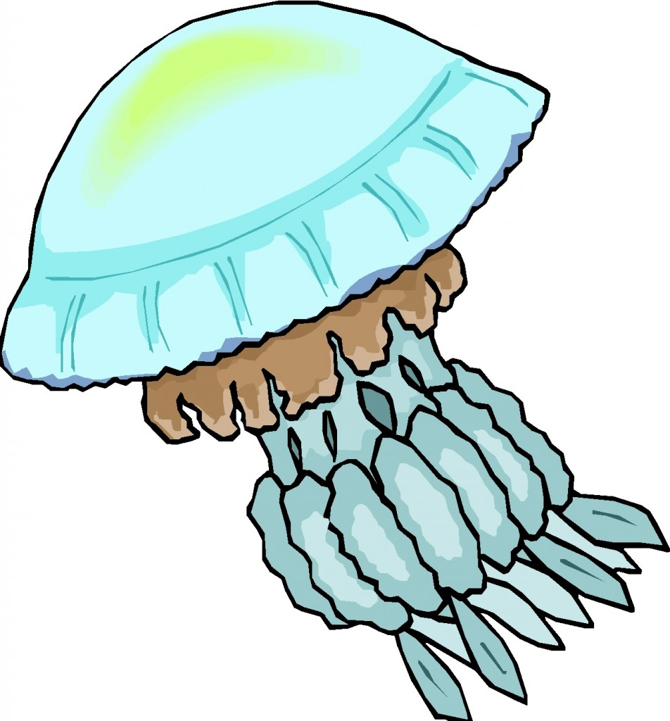 952x1024 Jellyfish Clipart Free Clip Art