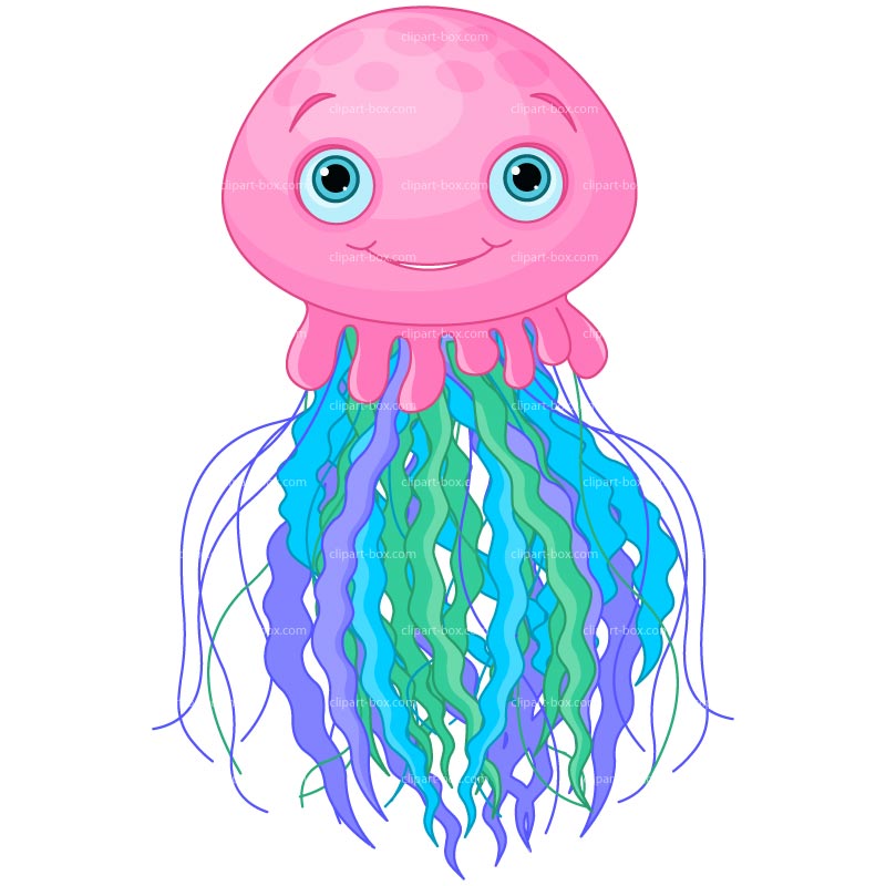 800x800 Clipart Jellyfish Royalty Clipart Panda