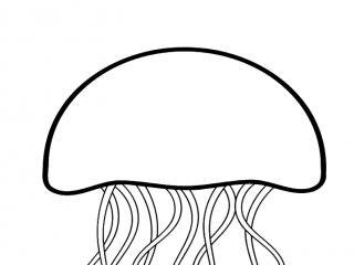 320x240 Draw Jellyfish Coloring Page At Creative Gallery Coloring Ideas
