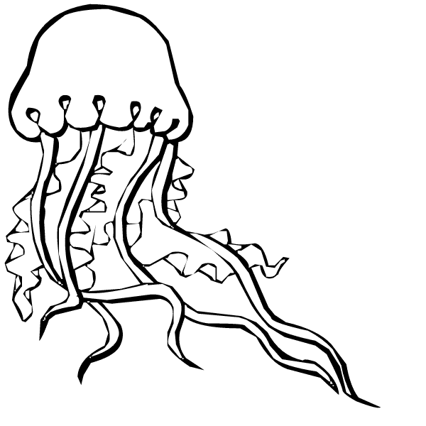 600x600 Modest Ideas Jellyfish Coloring Page Clipart Panda Free Images