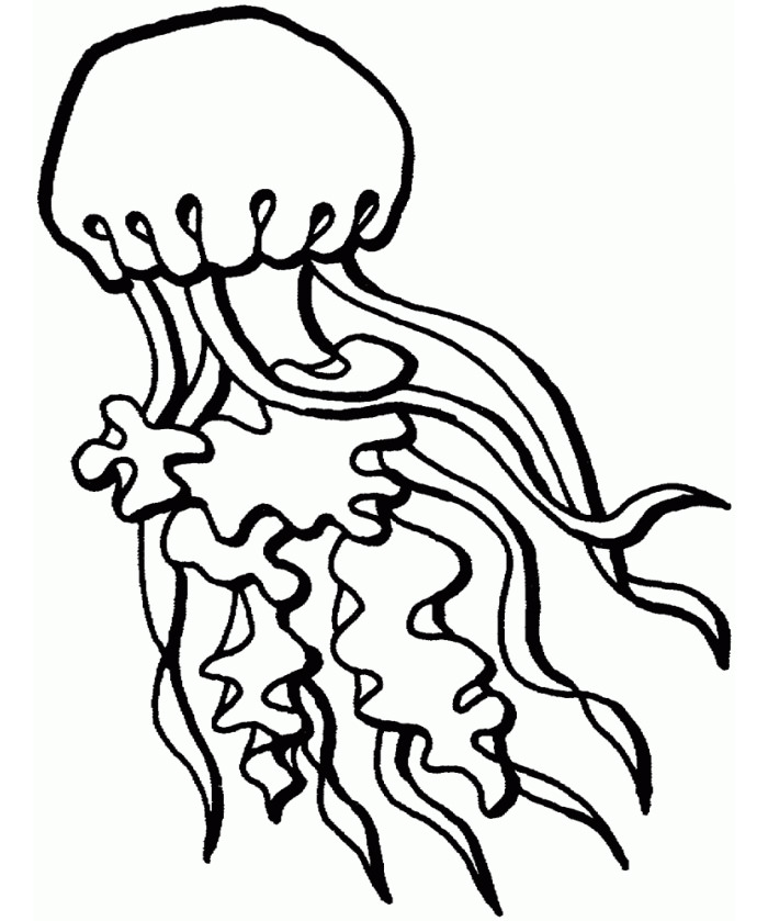 Jellyfish Clipart Black And White Free Download On ClipArtMag
