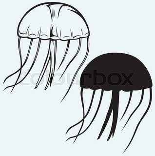 318x320 Jellyfish Vector Sketch Icon Isolated On Background. Hand Drawn