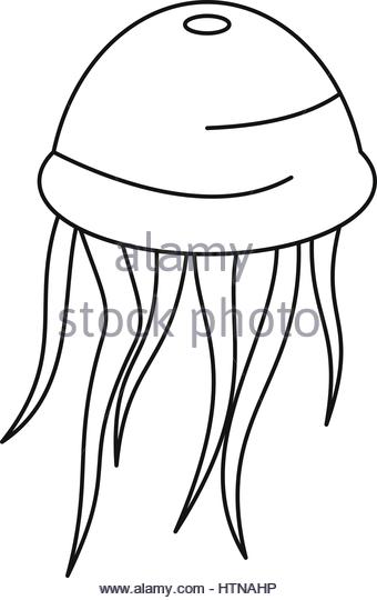 340x540 Medusa Jellyfish Black And White Stock Photos Amp Images
