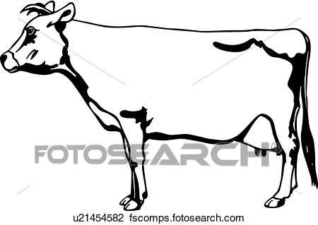 450x319 Clipart Of , Cow, Jersey, Animal, U21454582