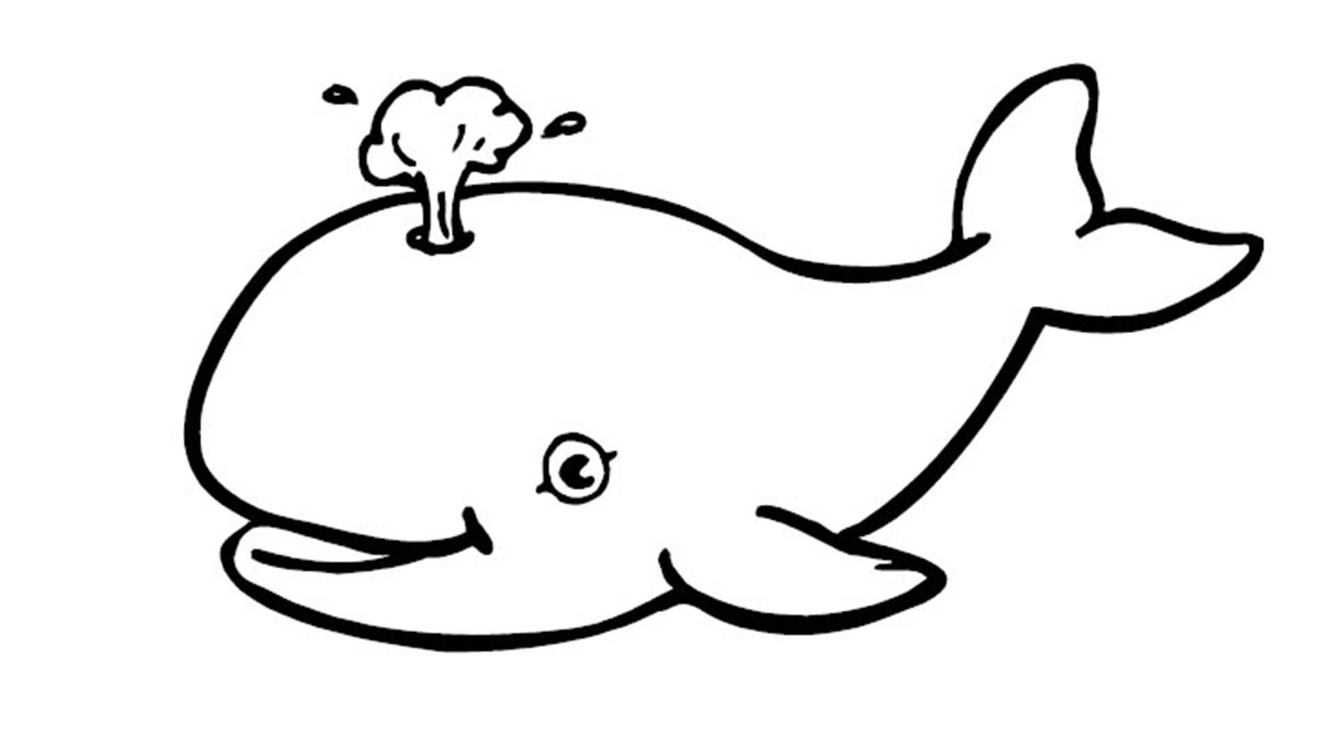 1920x1080 Whale Clipart Colouring Page