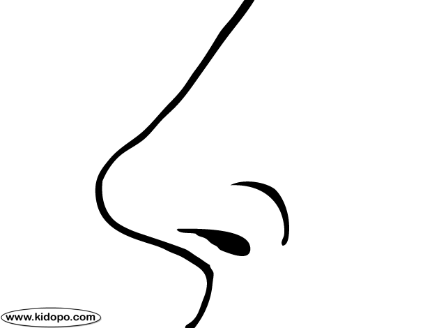630x470 Nose Coloring Page C3 Week 5