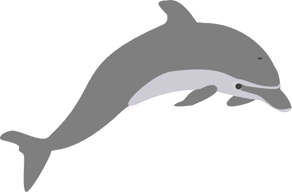 600x394 Dolphin Outline Grey Clip Art
