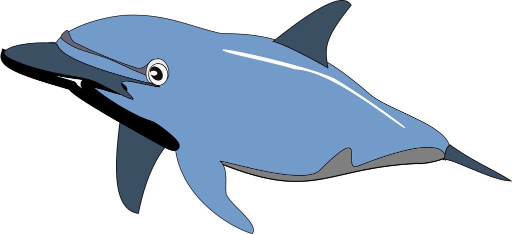 1024x469 Laufuhr Test Images Jumping Dolphin Clip Art