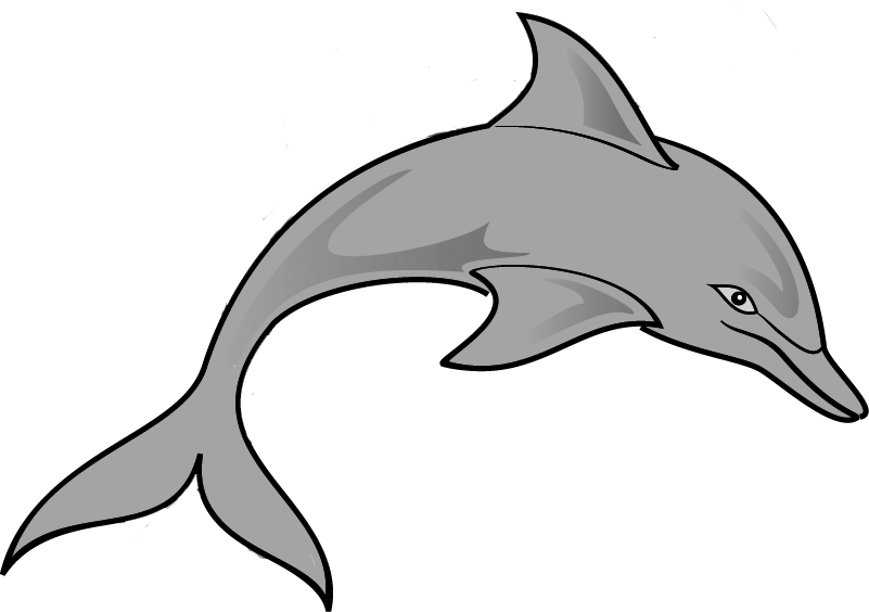801x564 Top 77 Dolphin Clip Art