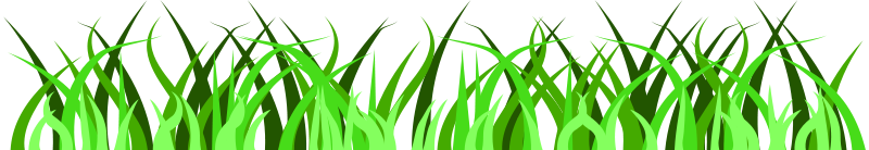 800x138 Jungle Grass Clipart