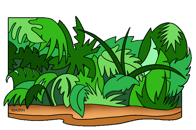 648x429 Jungle Plant Clip Art Cliparts