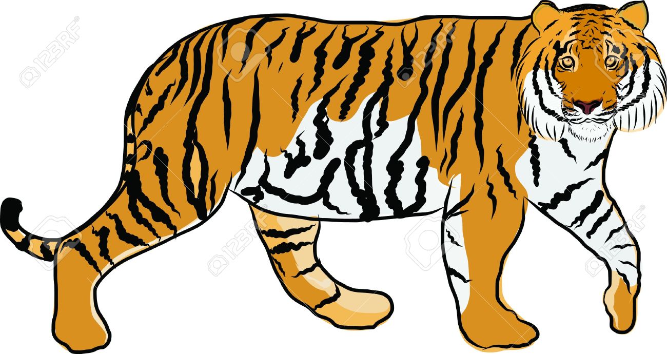1300x690 Jungle Clipart Tiger