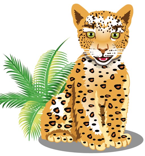 510x550 Leopard Clipart Jungle Animal