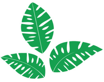 340x270 Leaf Clipart Jungle