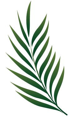 236x381 Palm Tree Leaf Png Clip Art Leaves Only Palm Tree