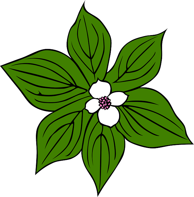 632x640 Flower Green Leaves Clip Art Cliparts
