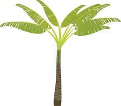 236x207 Palm Trees Png Png Trees Palm