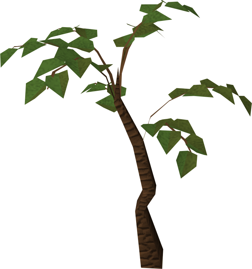 809x862 Branch Clipart Jungle