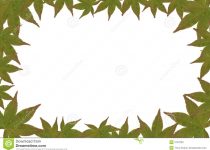 210x150 Clip Art Jungle Border Clip Art