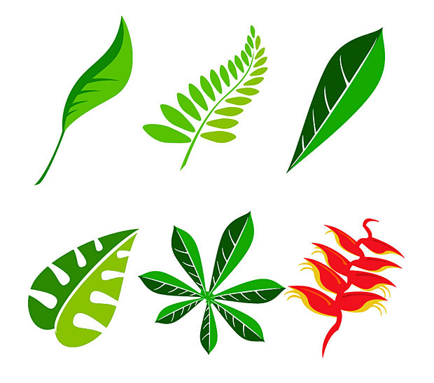 620x547 Foliage Clipart Jungle Leaves