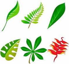 236x219 Jungle Vine Leaves Clip Art Ideas For The House