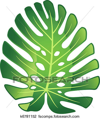 396x470 Pictures Of Jungle Vines K2120948