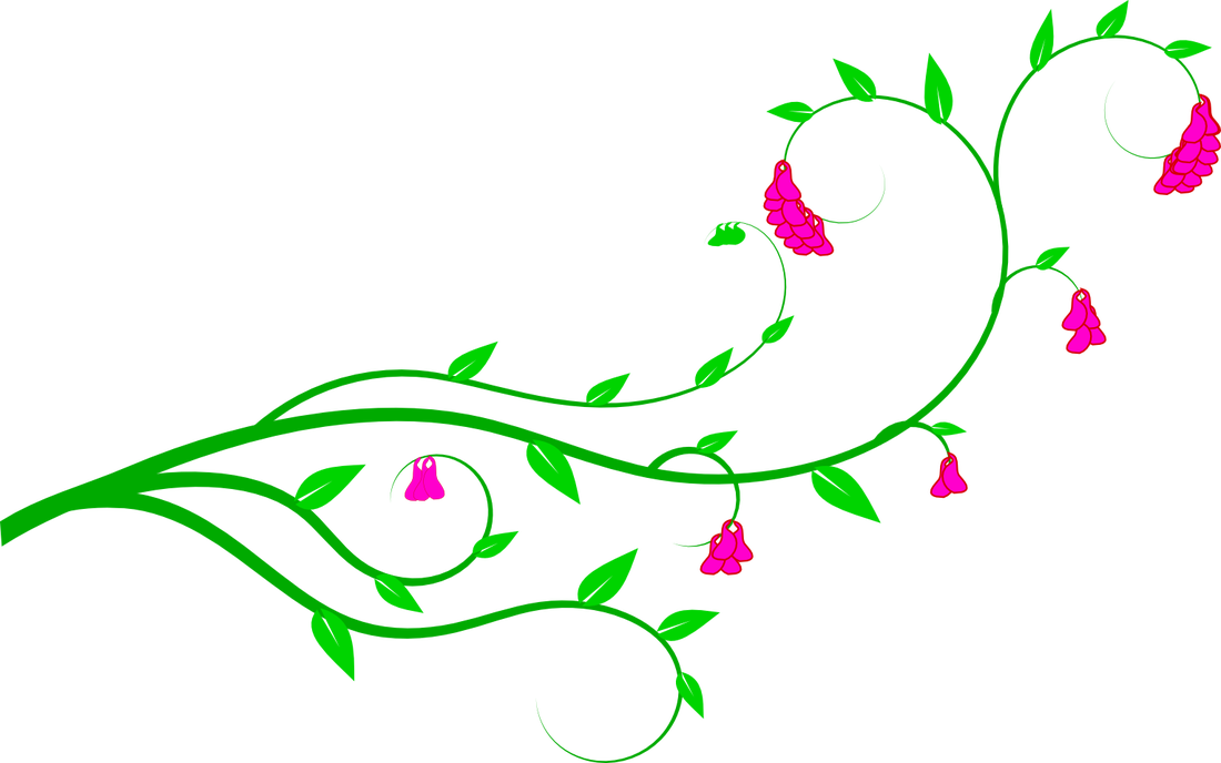 1100x688 Flower Vine Clipart