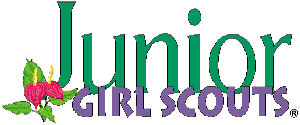 300x125 Junior Girl Scouts